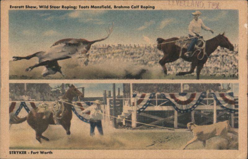 Everett Shaw Wild Steer Roping, Toots Mansfield Brahma Calf Roping