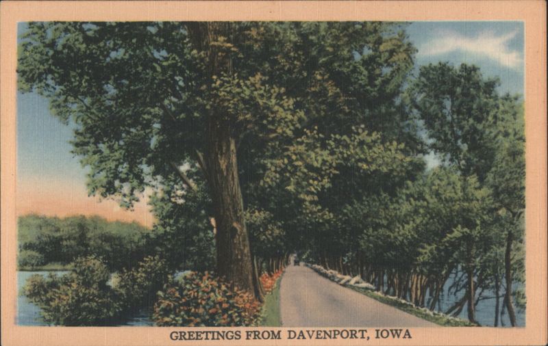 Tree-Lined Road View Davenport Iowa