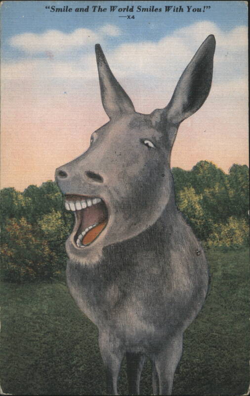 Smiling Donkey - Smile and The World Smiles With You!