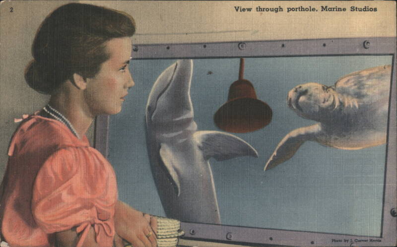 View through porthole, Marine Studios, Marineland, Florida