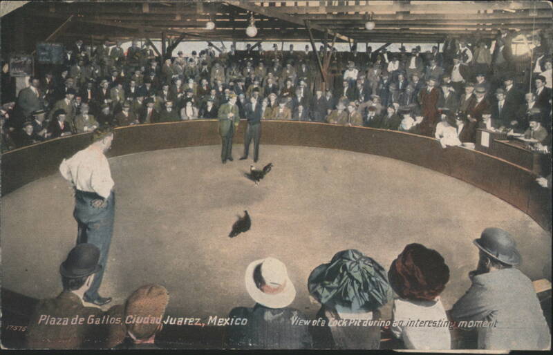 Plaza de Gallos Cock Pit, Ciudad Juarez, Mexico