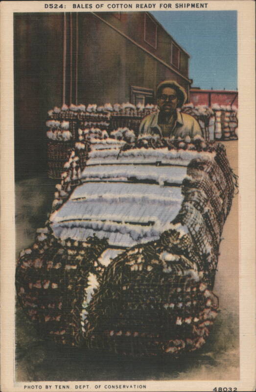 Bales of Cotton Ready for Shipment Tenn. Dept. of Conservation