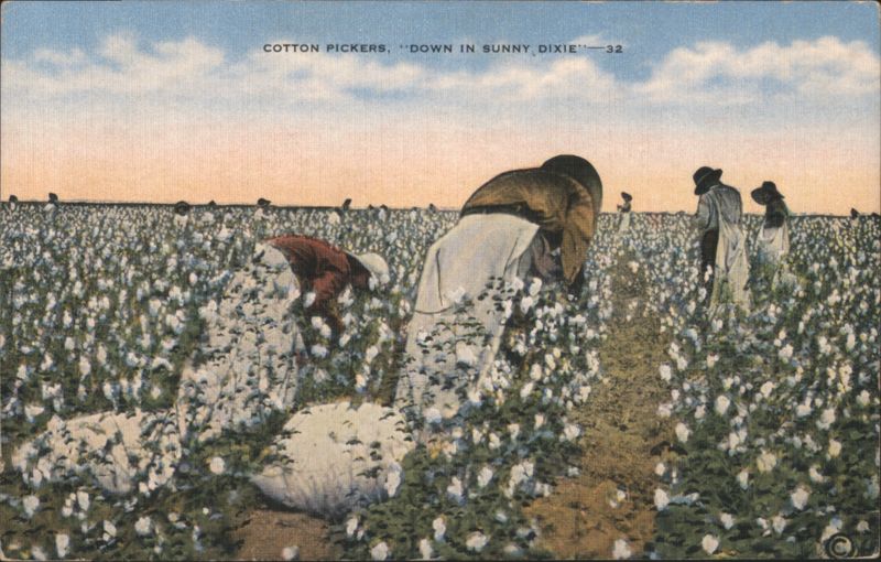 Cotton Pickers, Down in Sunny Dixie McGregor Studio