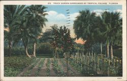 TRUCK GARDEN SURROUNDED BY TROPICAL FOLIAGE Postcard