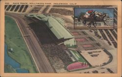RACE TRACK, HOLLYWOOD PARK, INGLEWOOD, CALIF. Postcard