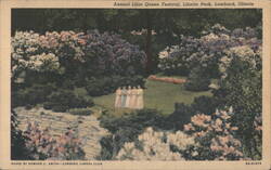 Annual Lilac Queen Festival, Lilacia Park Postcard