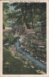 Allen's Creek, East Ave., Rochester, NY Postcard