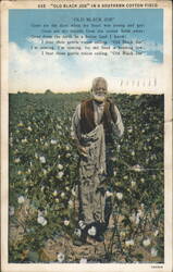 OLD BLACK JOE IN A SOUTHERN COTTON FIELD Postcard