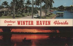 Greetings from Winter Haven Florida, Palm Trees, Lake Postcard