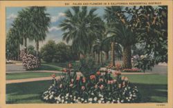 Palms and Flowers in a California Residential District Postcard