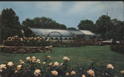 Municipal Rose Garden, VanderVeer Park Postcard