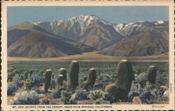 MT. SAN JACINTO FROM THE DESERT, NEAR PALM SPRINGS Postcard