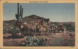 Old Prospector on the Desert Postcard