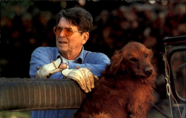 President Reagan And His Golden Retriever Victory Ronald Reagan