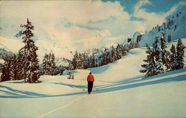 Making The Trail Skiing