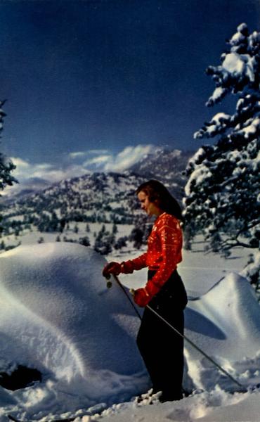 Ski Girl Skiing
