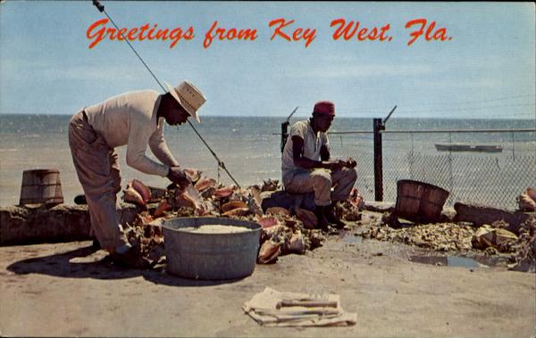 Greetings form Key West Florida Aircraft