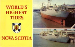 World's Highest Tides Postcard