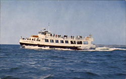 Island Queen Postcard