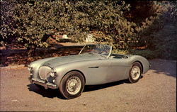 1953 Austin Healey 100-4 Sports Roadster Postcard