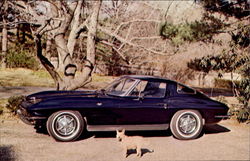 1963 Chevrolet Corvette Sting Ray Postcard
