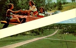 Picnic Postcard