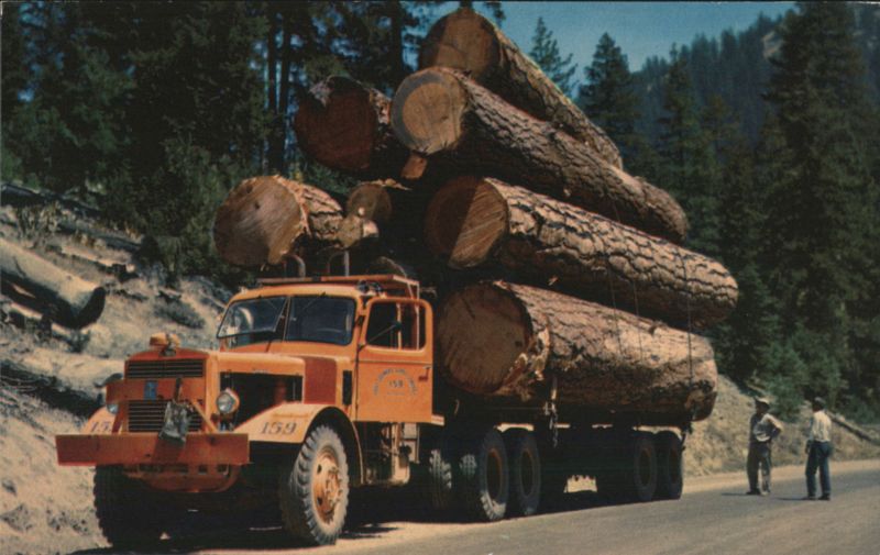 Logging Truck Hauling Logs on Mountain Roads