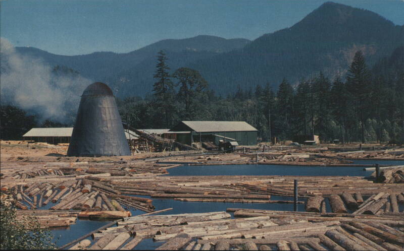 Northwest Sawmill and Log Pond L. L. Perkins Logging