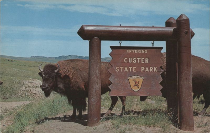 Custer State Park Entrance with Buffalo, South Dakota