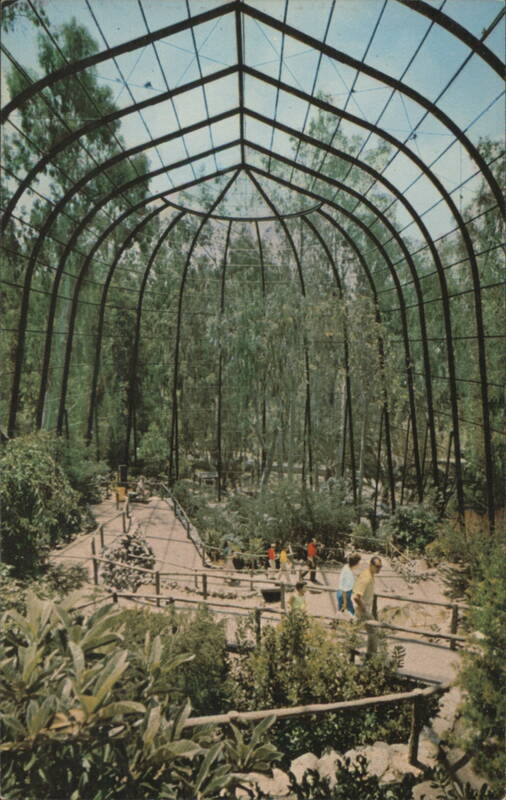 San Diego Zoo Walk-through Bird Cage Aviary California