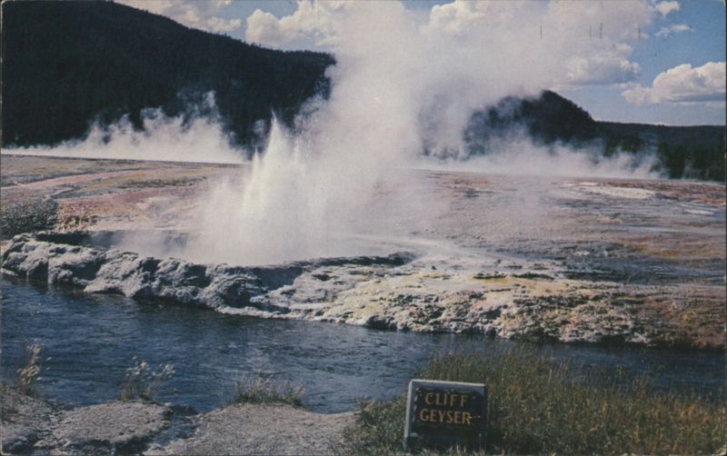 Cliff Geyser Erupting, Yellowstone Park Mr. & Mrs. A. Walkup