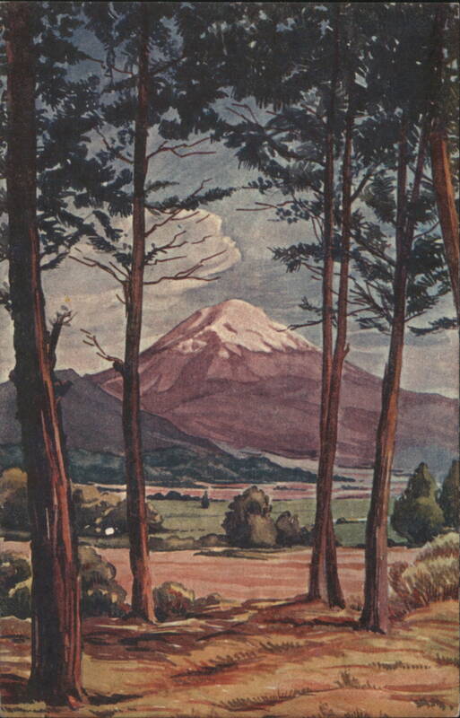 Popocatépetl Volcano, Pine Trees, Mexico Mexico City