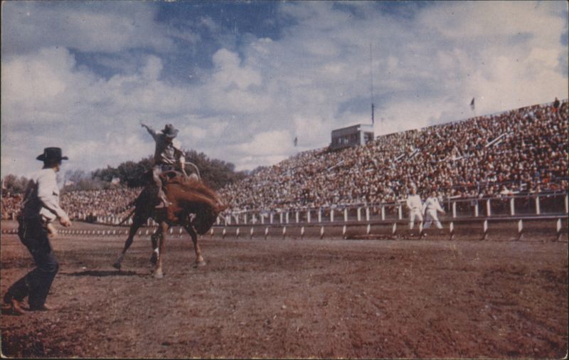 Rodeo Bronc Busting, Wild Steer Riding, Races & Roundups