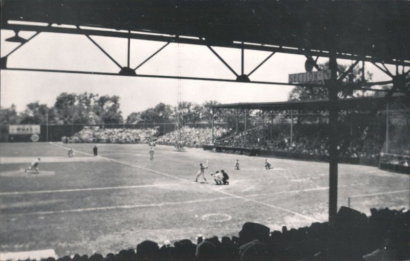 Pynchon Park Baseball Game, Springfield, MA Massachusetts