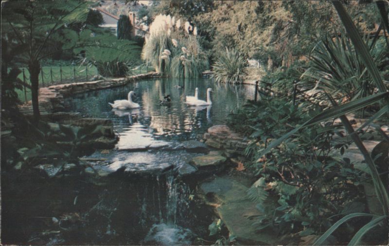 Hotel Bel-Air Swan Lake with Waterfall & Swans Los Angeles California