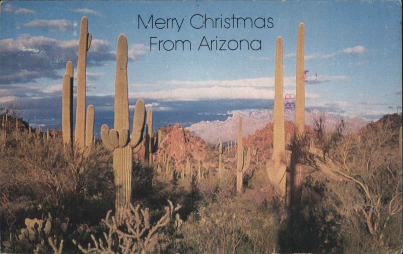 Merry Christmas From Arizona Saguaro Desert