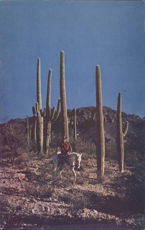 Saguaro Cactus, Cowboy & Pony, Arizona Desert Mike Roberts