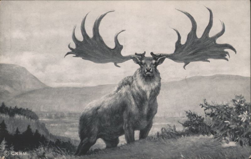The Great Irish Deer by Charles R. Knight
