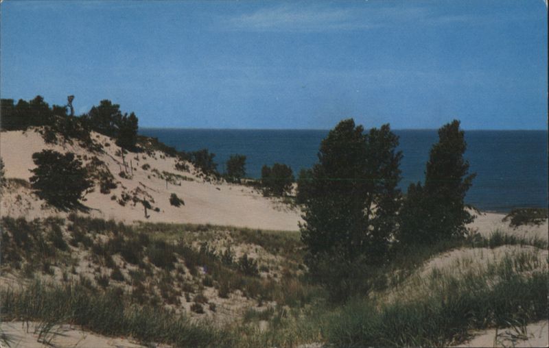 Indiana Dunes State Park - Buried Forest, Lake Michigan Chesterton