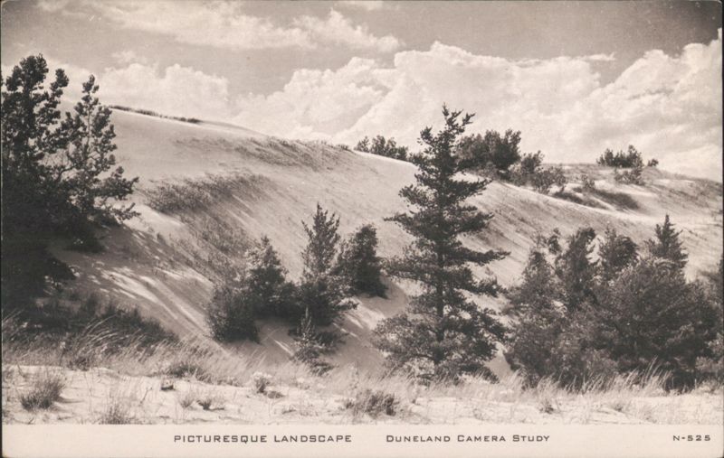 Picturesque Landscape Duneland Camera Study Cameras & Photography