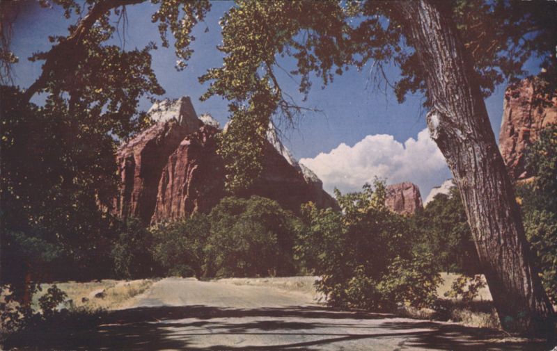 Zion National Park, UT - Red Rock Cliffs & Scenic Road Utah
