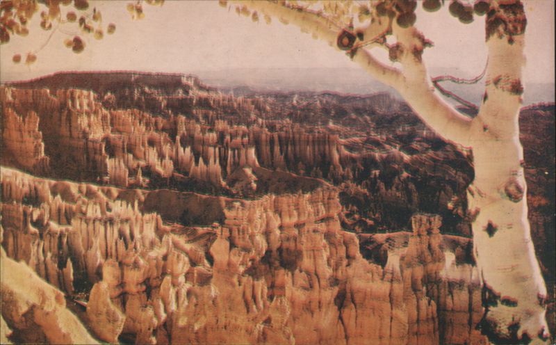 Fairyland at Bryce Canyon National Park, Utah Mike Roberts