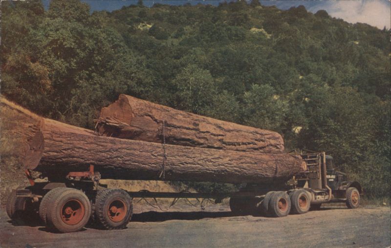 Log Truck with Huge Loads En Route to Mills Logging