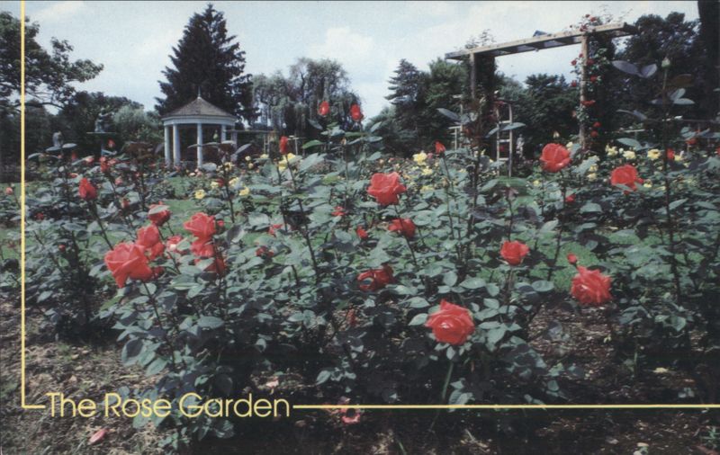 The Rose Garden, Allentown, Pennsylvania Anthony L. Iezzi Photography Service