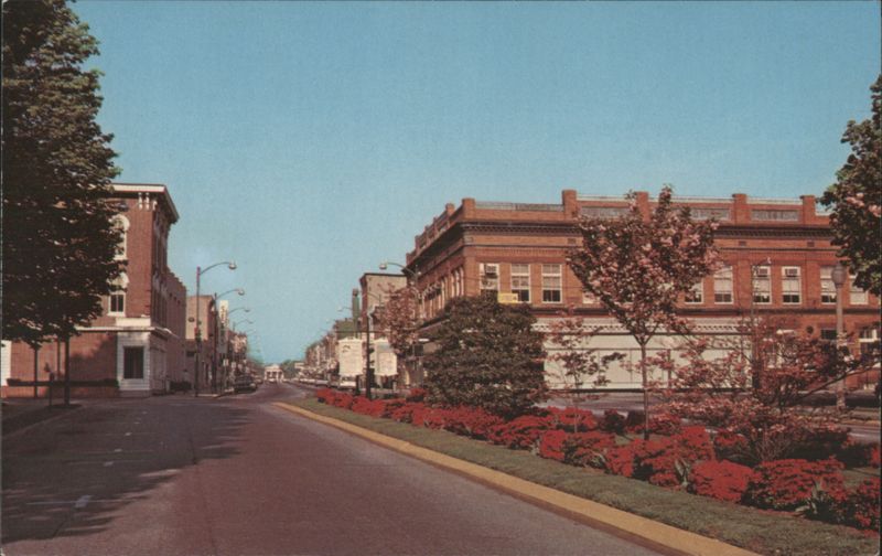 Lockerman Street, Dover, Delaware - Spring Flowers