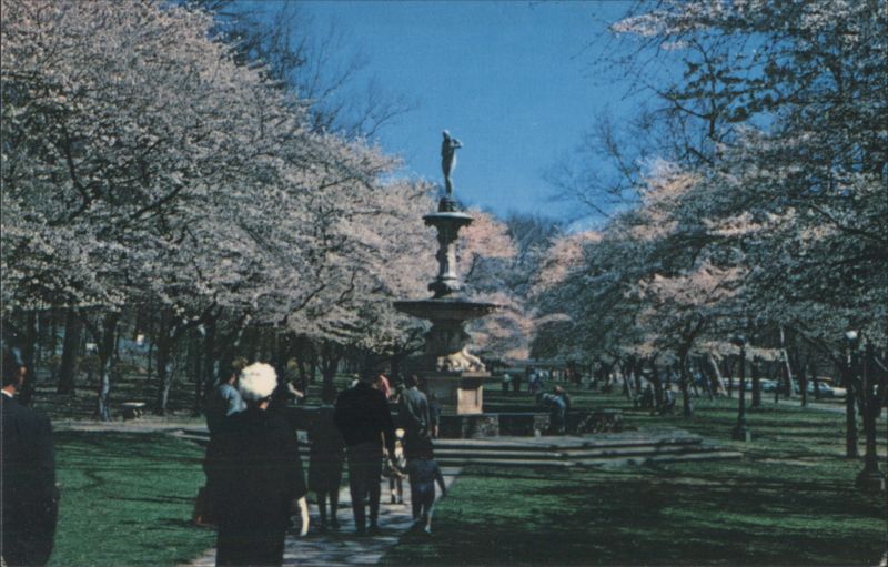 Josephine Gardens, Brandywine Park, Cherry Blossoms Wilmington Delaware