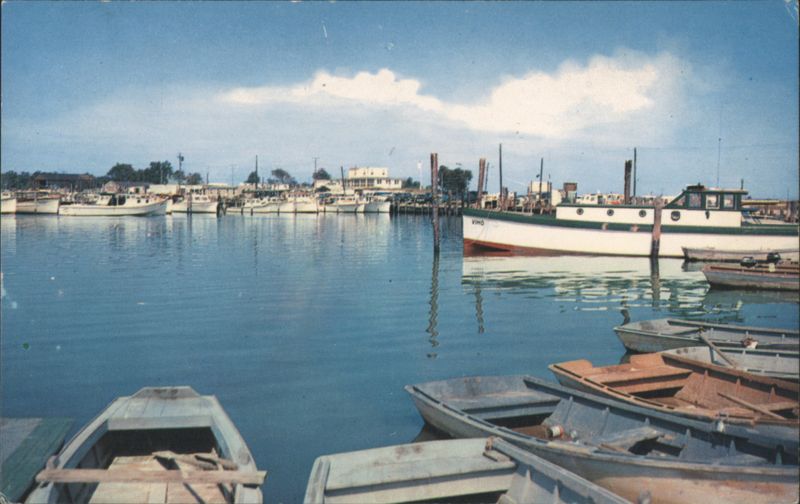Indian River Yacht Basin, Fisherman's Paradise Delaware