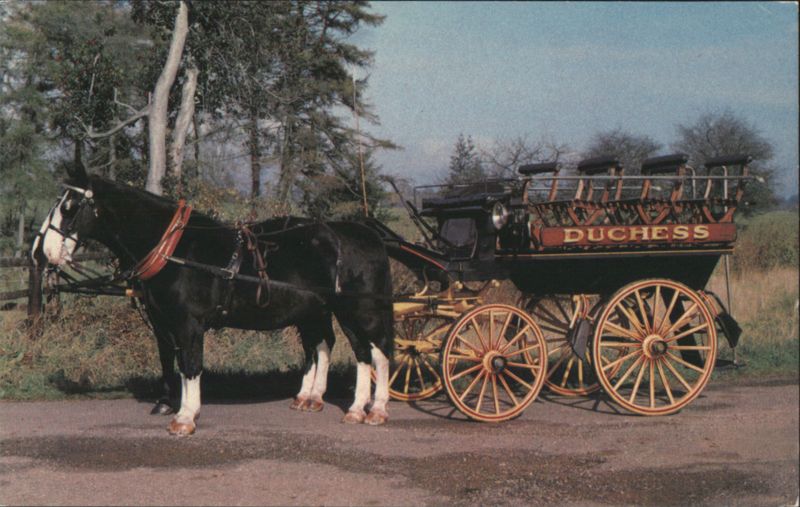 DUCHESS Horse-Drawn Char-a-banc, Bath Carriage Museum England