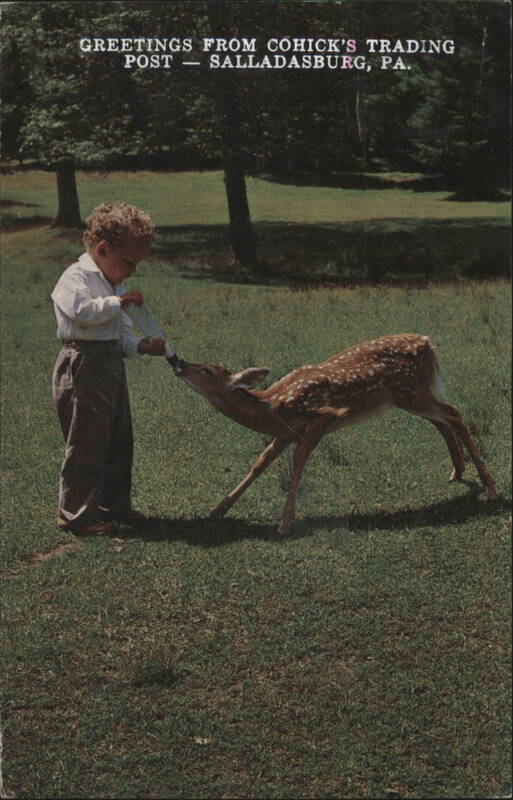 Child Feeding Fawn at Cohick's Trading Post Salladasburg Pennsylvania