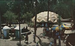San Diego Zoo Children's Zoo Geodesic Dome Postcard